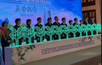 干冰小树苗